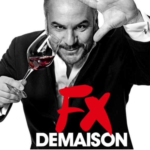 DI (X) VIN (S) FX Demaison
